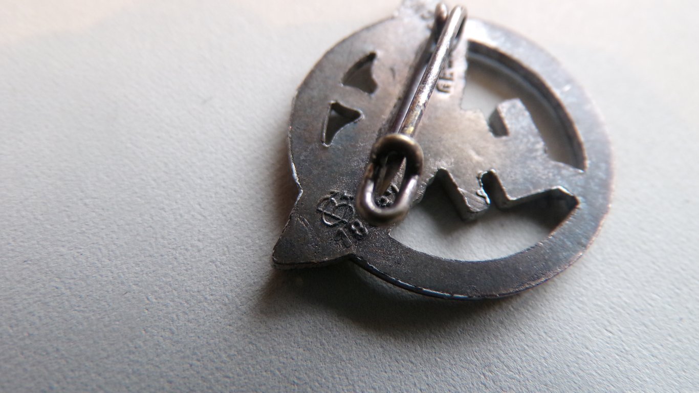 NSFK Membership's pin