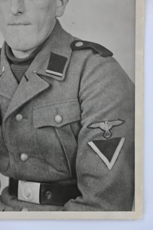 German Waffen-SS Portrait Picture