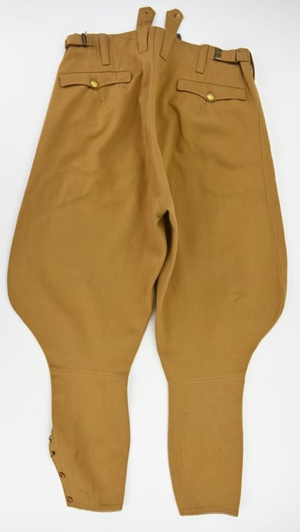 German NSDAP Political Breeches