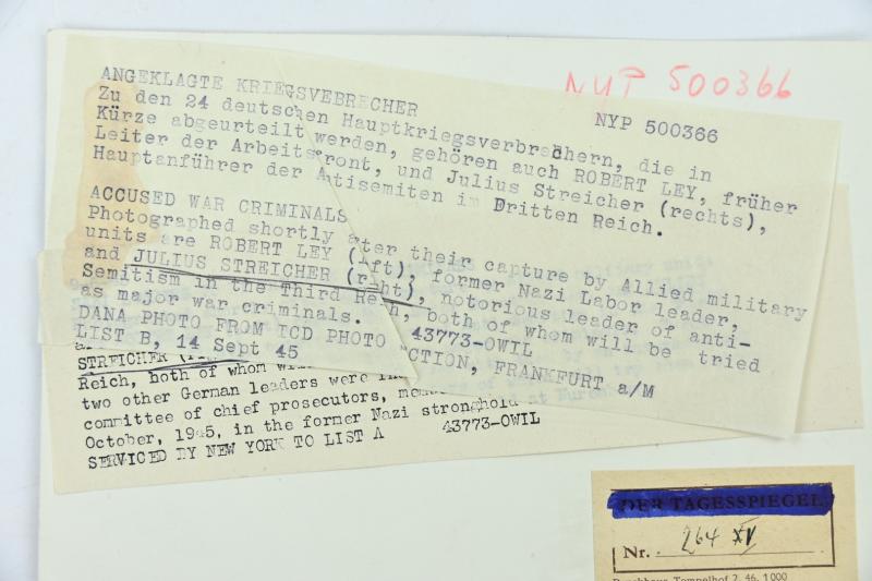 Allied Press 'Mug-Shot' Picture of Nuremberg Trail Members