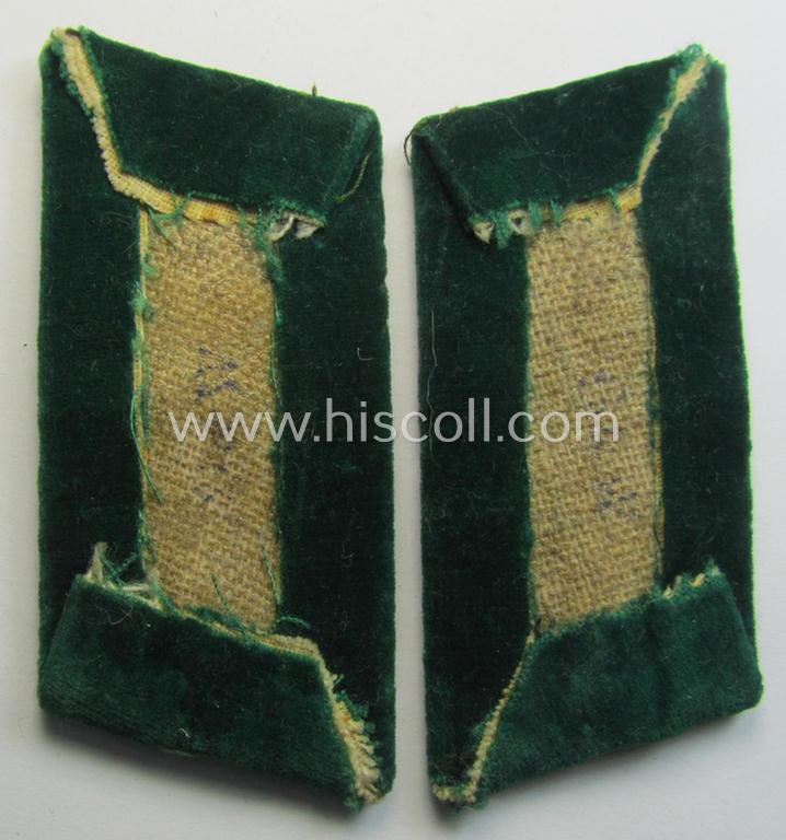 Attractive - and fully matching! - pair of RAD- (ie. 'Reichsarbeitsdienst') officers'-type collar-tabs (of the 2nd pattern) as mounted onto a green-coloured (and velvet-based) background for a medium-ranked RAD-officer ('mittlere Führer')