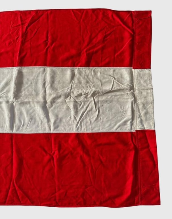 Hitler Youth Flag/Banner (72,5 x 209 cm )