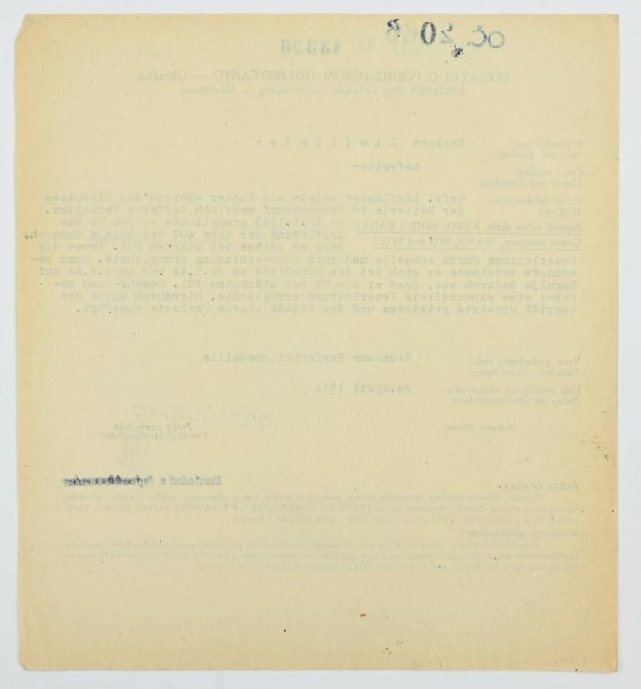 Croatian/German WW2 Bronze Bravery Medal Certificate 'Herbert Lieflander'