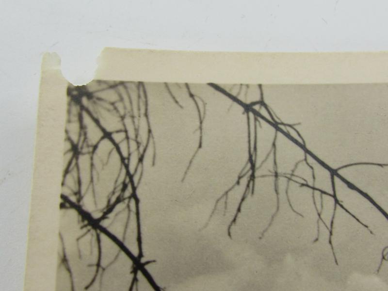 Postcard : Unsere Waffen-SS