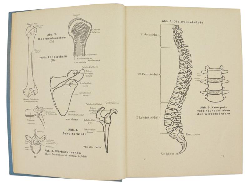 German DRK Medical First Aid Book