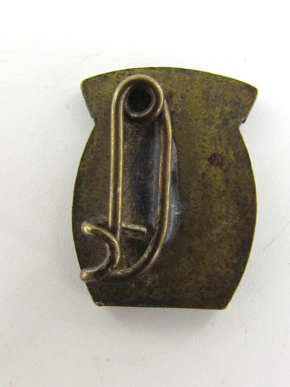 US WWII 10th Mountain Division Patch With Tab & Cap Pin