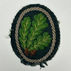 WH Light Infantry Patch