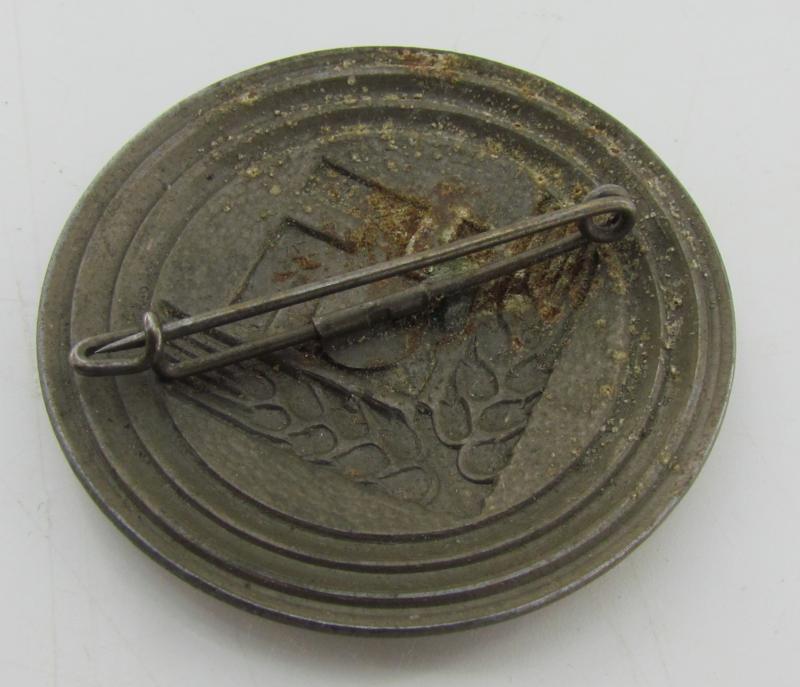 RADwJ Brooch for a 'Maidenführerin' (Assmann)