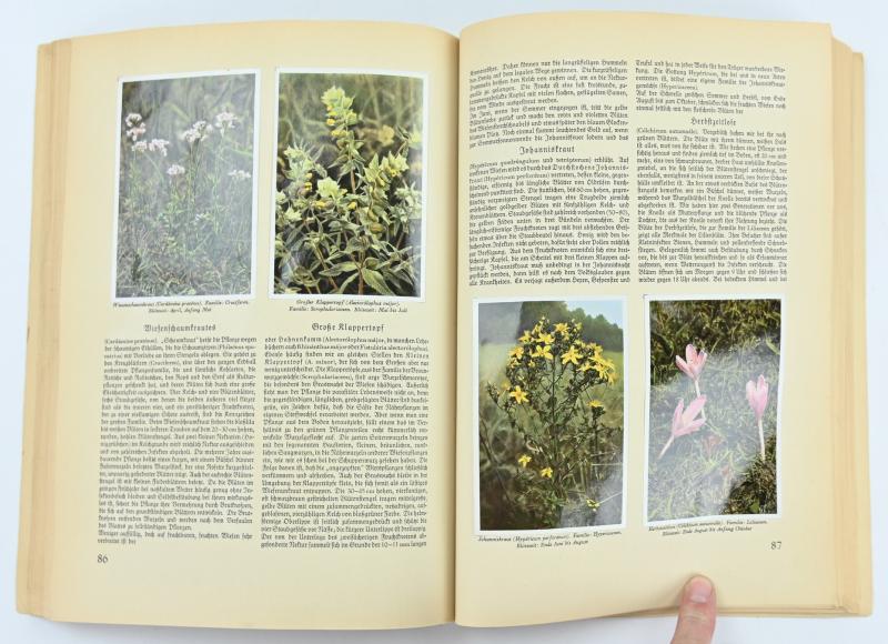 German Third Reich CigaretAlbum 'Aus Wald und Flur'