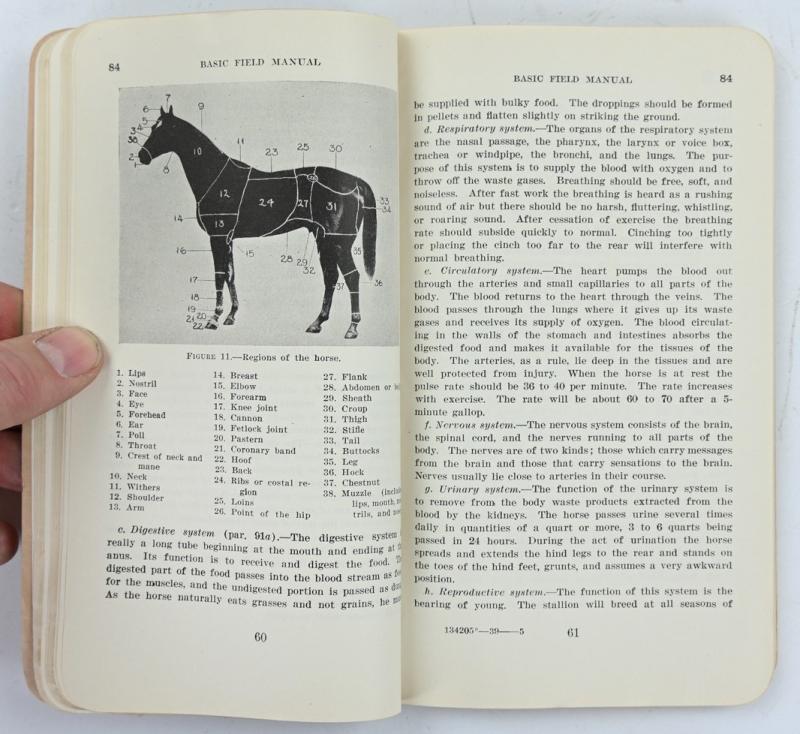 US WW2 FM 25-5 Basic Field Manual 'Animal Transport'