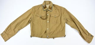 German NSDAP Brown Shirt 'Hauptgemeinschaftsleiter'