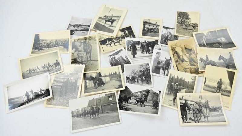 German WH Cavalry Picture set