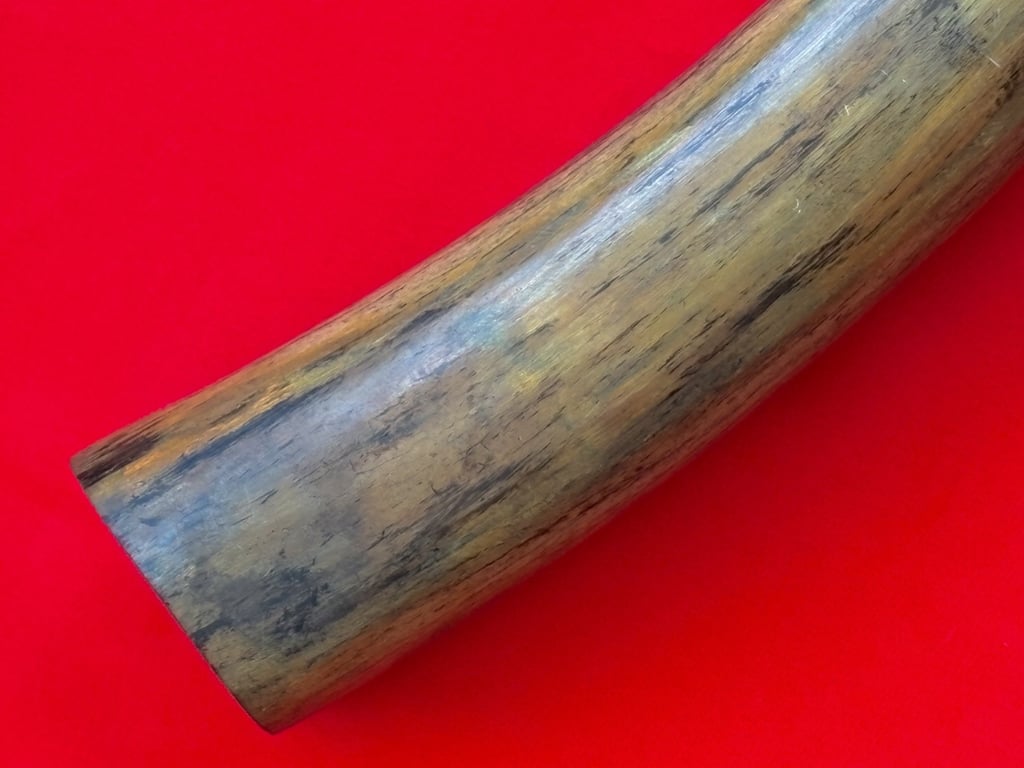 INCREDIABLE AUTHENTIC ORIGINAL 40,000 WOOLLY MAMMOTH TUSK.