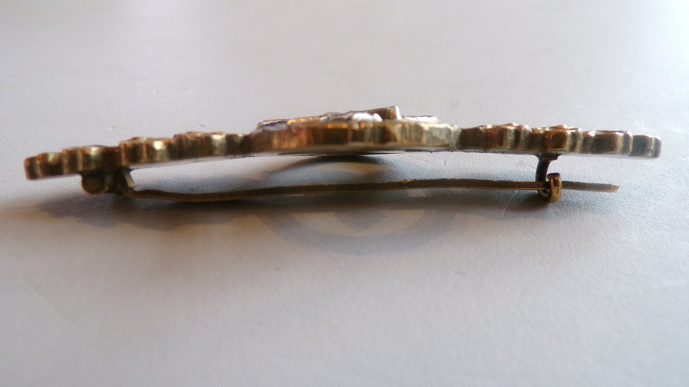 Frontflugspange fur Transportflieger in Gold