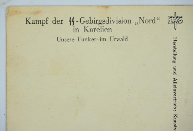 German Waffen-SS Postcard GBJ Division ''Nord''