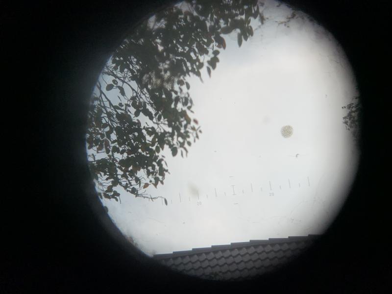 Wehrmacht Binoculars 'Dienstglas' 6x30 -DDX-