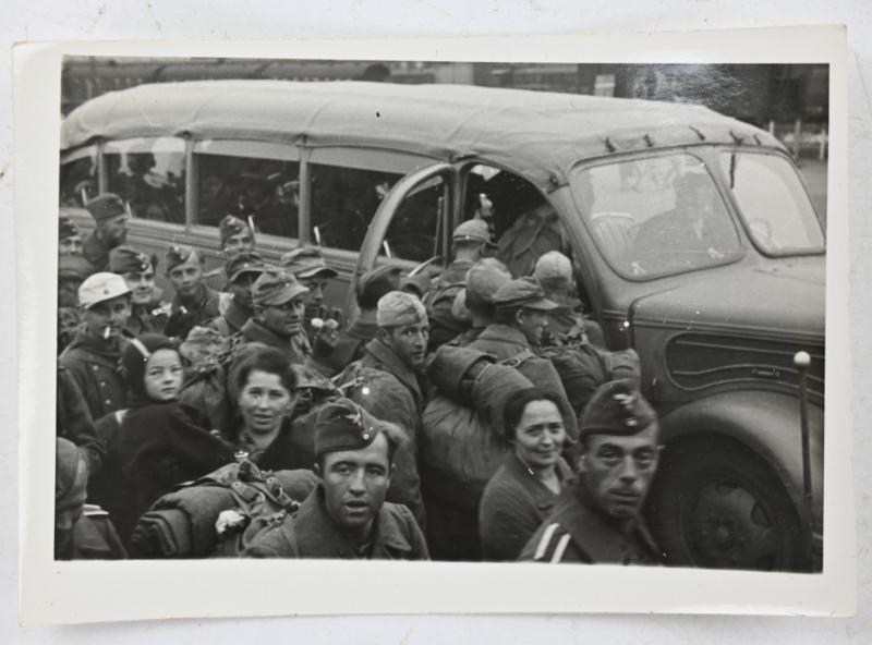 German WH Afrikakorps Picture Set