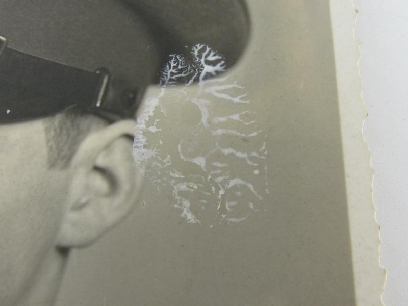 Portrait Photo of a Wehrmacht Soldier