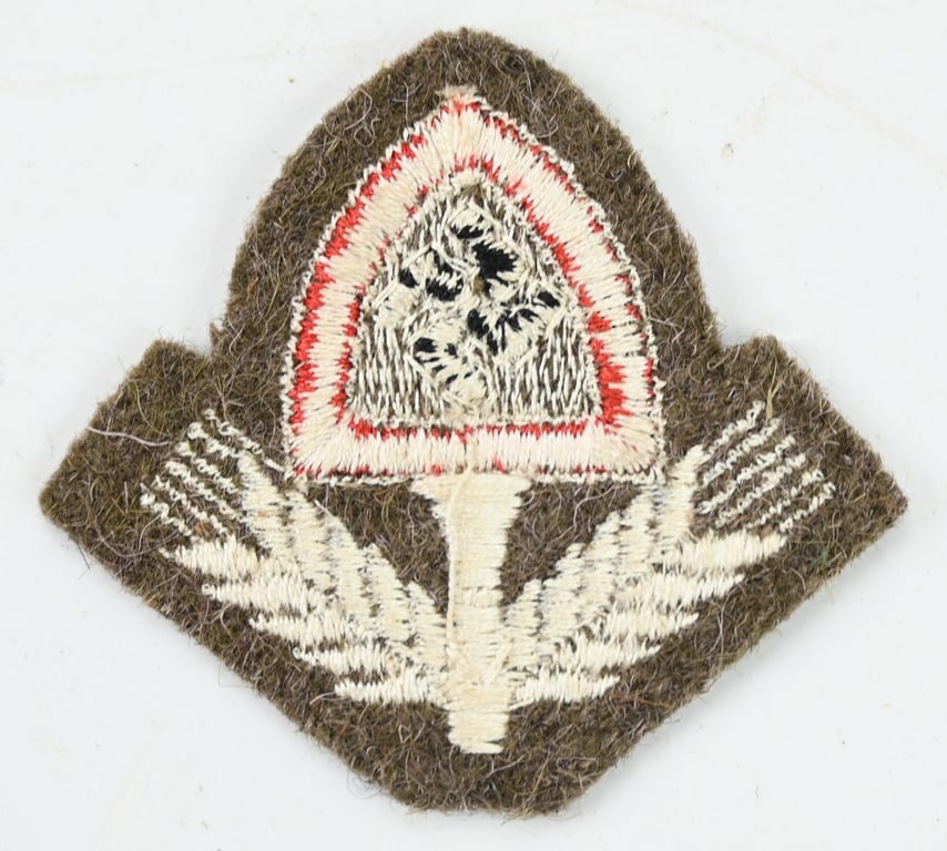 German RAD EM/NCO Cap badge