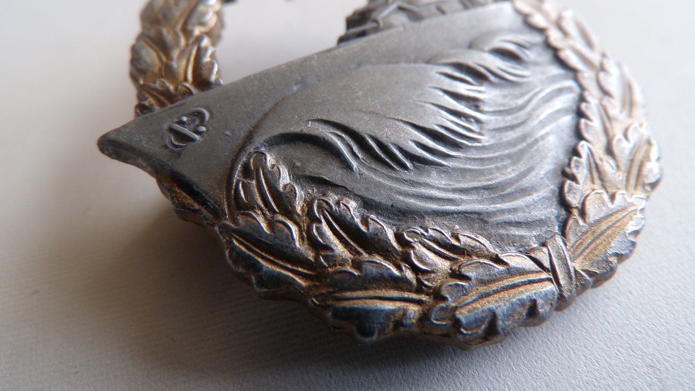 Zerstörerkriegsabzeichen (Destroyer Badge)