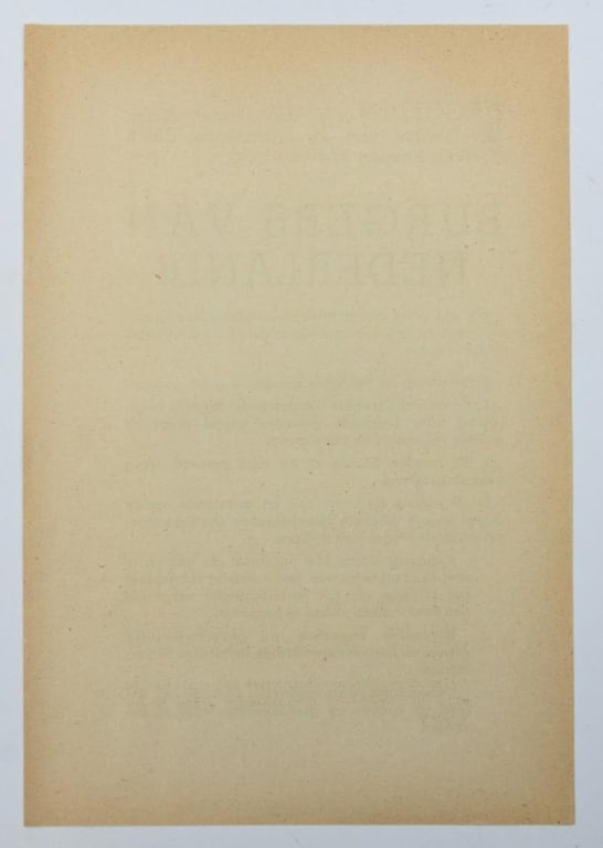 Allied WW2 Leaflet 'Disarming German Troops'