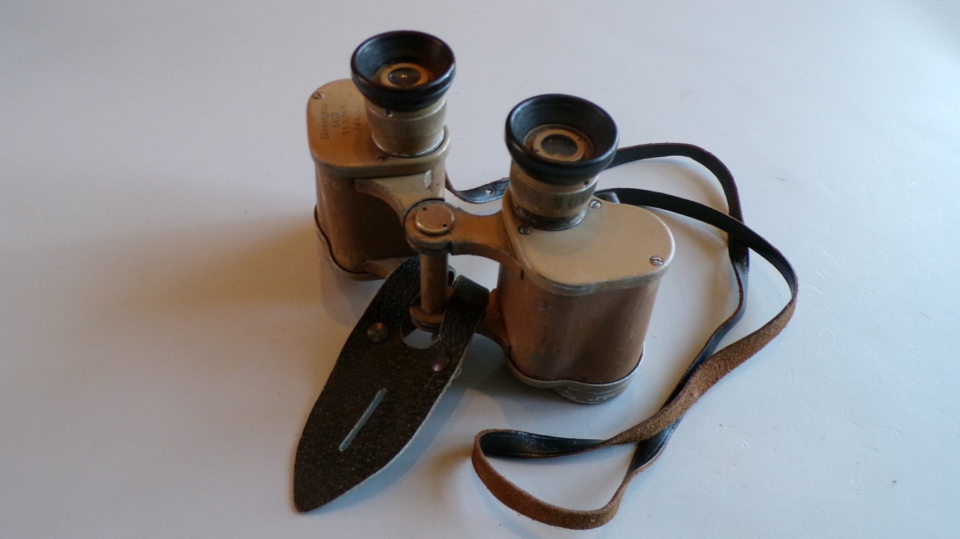 Heer/LW/SS 6 x 30 binoculars by DDX