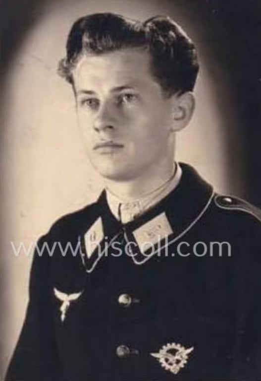 WH (Luftwaffe)-related- (and I deem officers'-pattern) breast-badge ie. eagle-device as was specifically intended for commissioned-staff working within the WH 'Generalluftzeugmeister'- (ie. 'GL'-) organisation