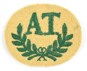 British WW2 Army Trade Badge Anti-Tank Gunner
