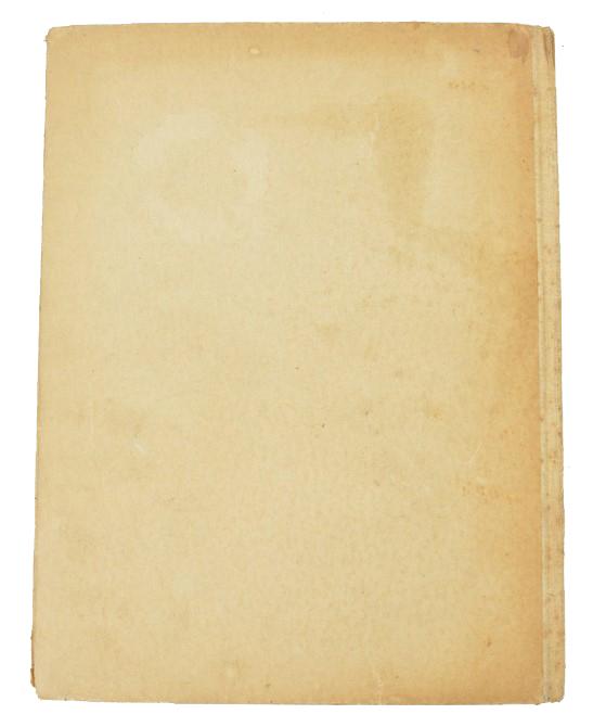 German Book: Narvik im bild
