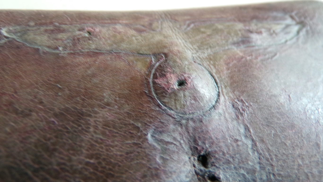 Wallet with 18 Original Coins & Eagle Imprint