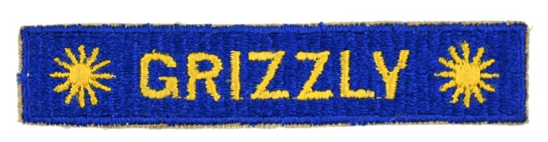 US Armored Division Tabs