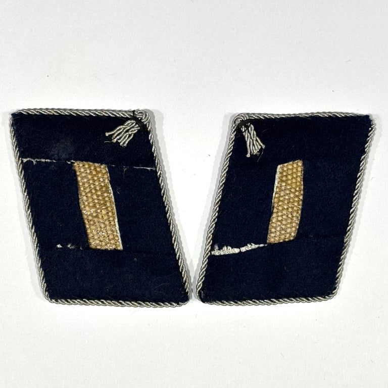 LW Collar tabs for a medical Leutnant
