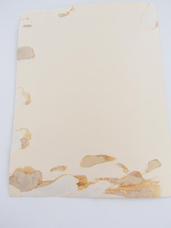 Photo German Forestry Member With his Wife