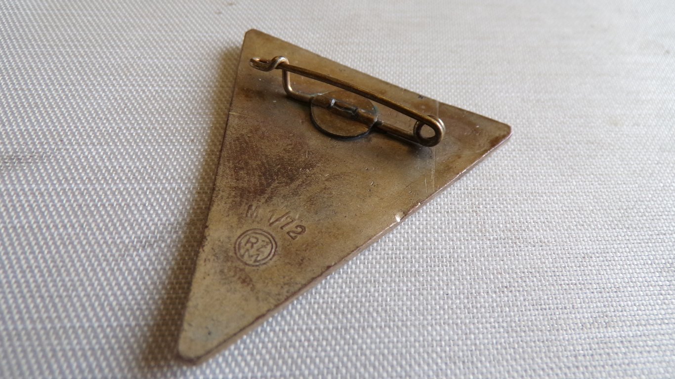 NS-Frauenschaft  Badge (Large 42mm Variant)