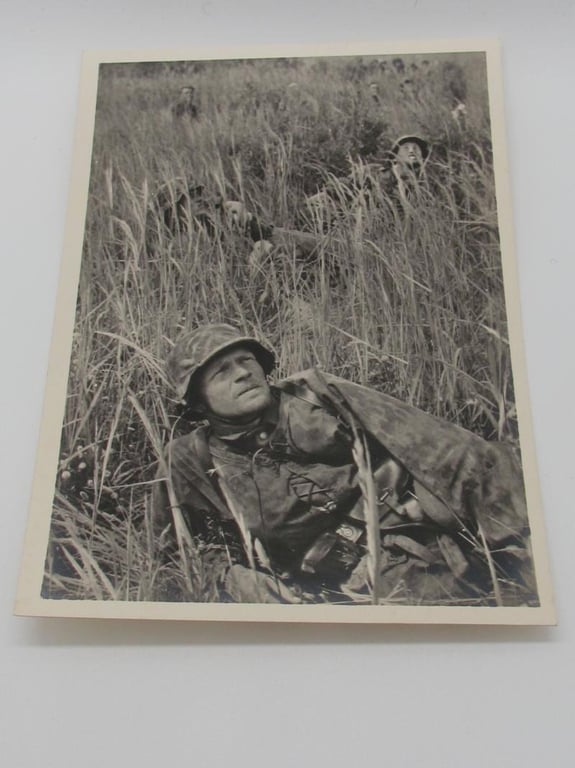 Postcard : Unsere Waffen-SS