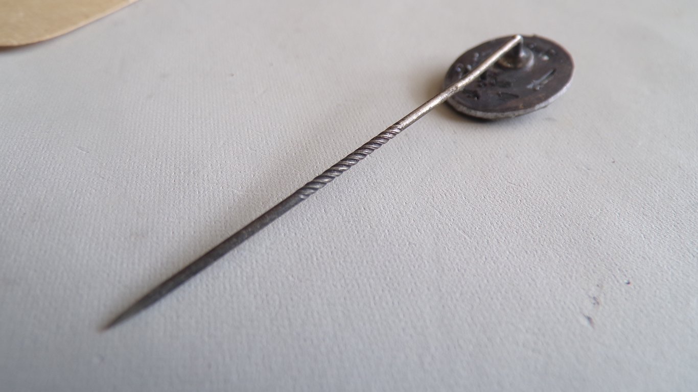 Allgemeines Sturmabzeichen stickpin