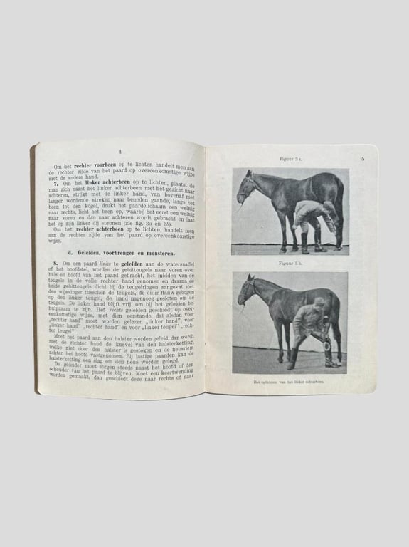 Dutch Cavalry Pocketbook -1936-