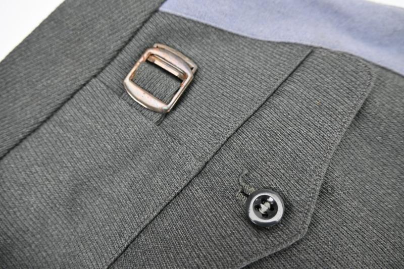 German Waffen-SS General Breeches