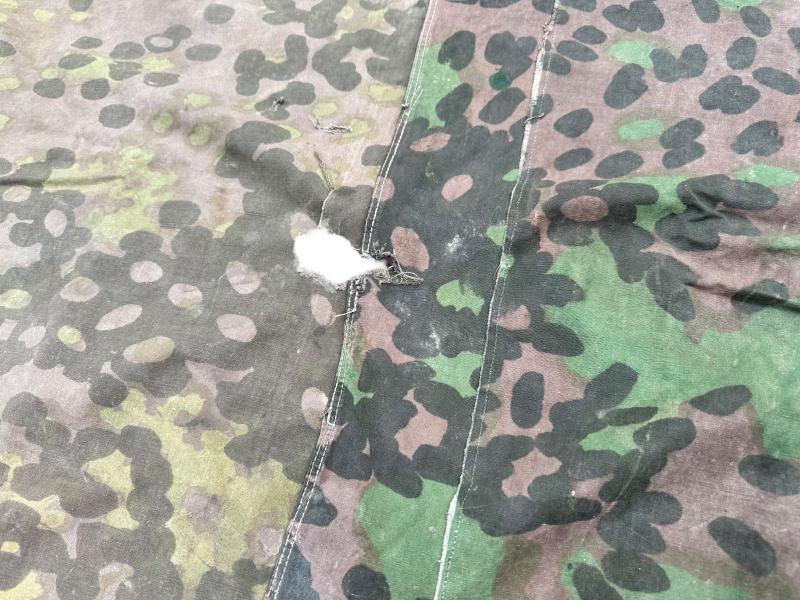 W-SS Plane Tree 6/6 Shelter Quarter