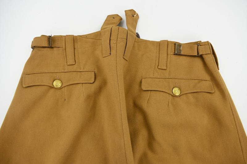 German NSDAP Political Breeches