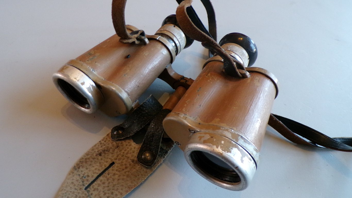 Heer/LW/SS 6 x 30 binoculars by DDX