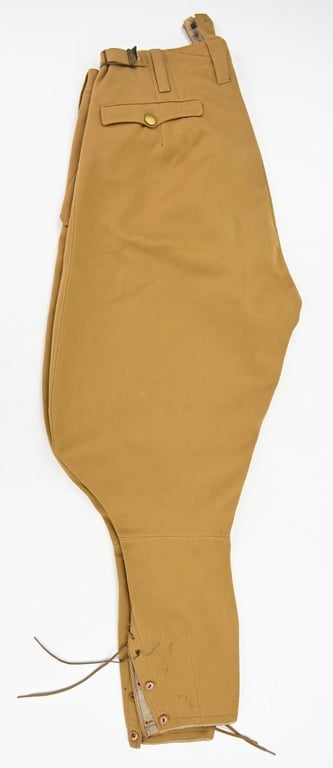 German NSDAP Political Breeches