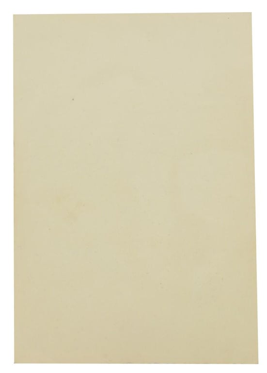 German LW NCO Portrait Picture