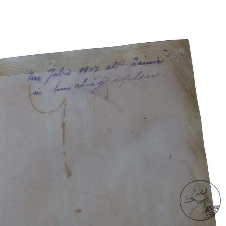 Fotografie Oswald Boelcke + Postkarte Boelcke und Immelmann 1.WK Pour le Merite