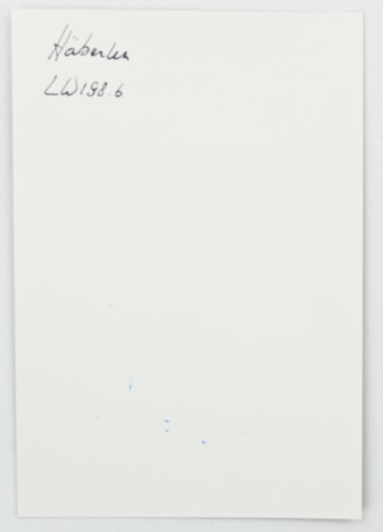 Signature of Luftwaffe KC Recipient 'Klaus Häberlen'
