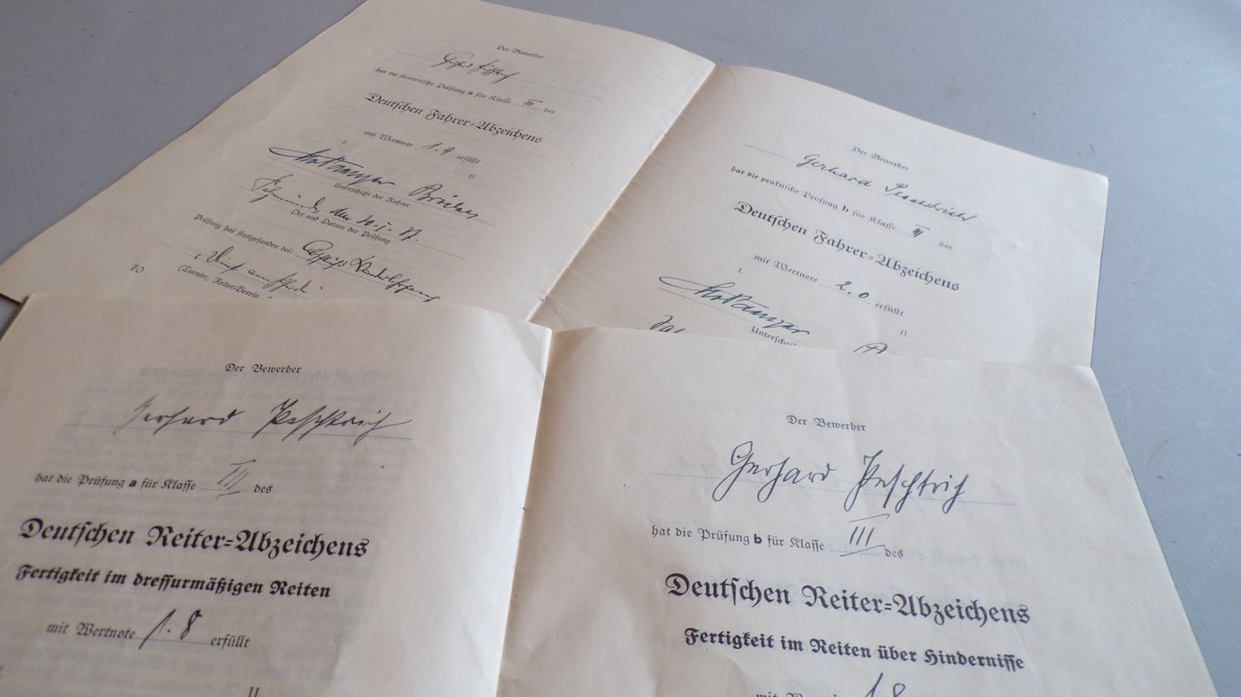 Reiterabzeichen & Fahrer Abzeichen