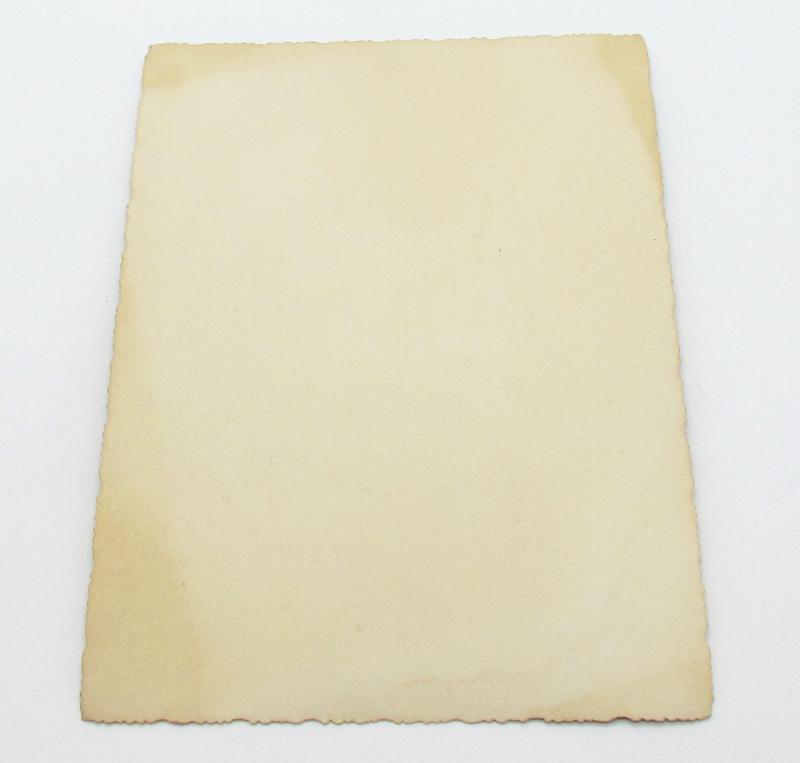 Portrait Photo of a Waffen SS Soldier