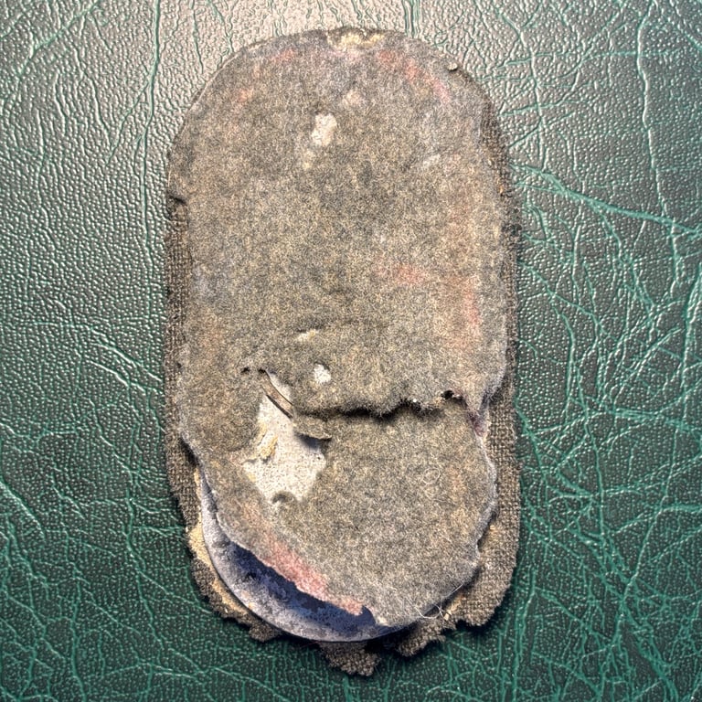 Campaign Shield Narvik