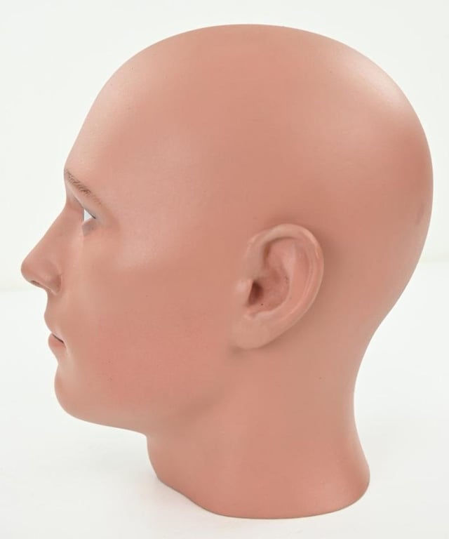 Painted Male Mannequin Head