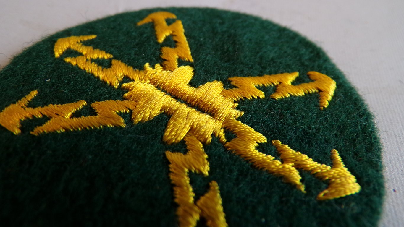 (Heer) Radio Master Specialist 'Blitz' Patch